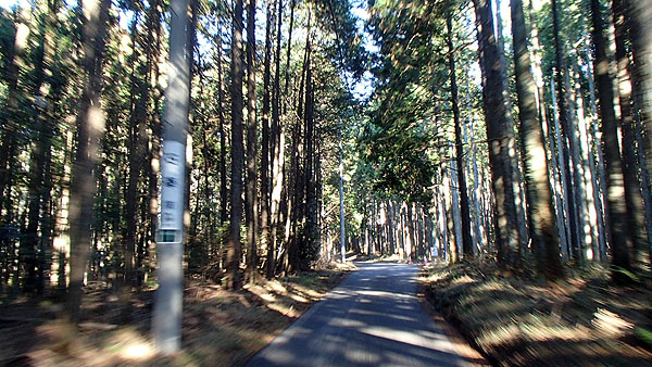 林道？を迷走中